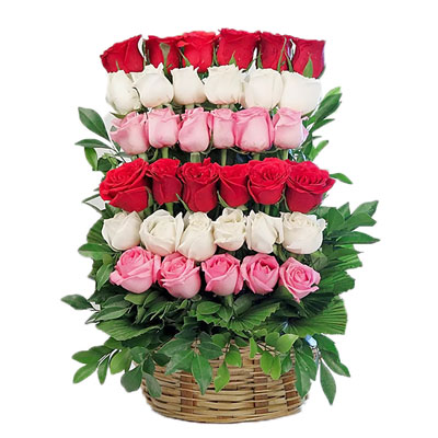 "Carnation Carnival - Click here to View more details about this Product